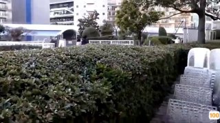 变形金刚G1感受玲酱的泡泡浴服务